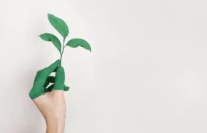 Hand painted green holding a young leaf, symbolizing sustainable business practices.